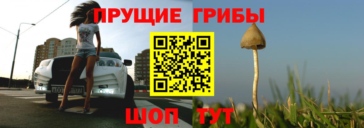Псилоцибиновые грибы ЛСД Севастополь